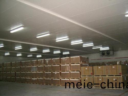 茶(cha)葉冷(leng)庫