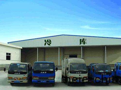 大型(xing)物流(liu)冷(leng)庫