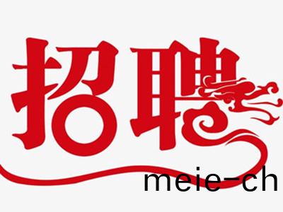 公(gong)司人員(yuan)招聘(pin)啟(qi)事(shi)