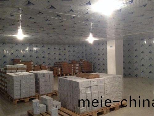 湖南宏國機(ji)電設備有限公司.湖南機電設備,冷庫安裝工程研髮,冷凍冷(leng)藏(cang)設(she)備設計,空調製冷設備製造